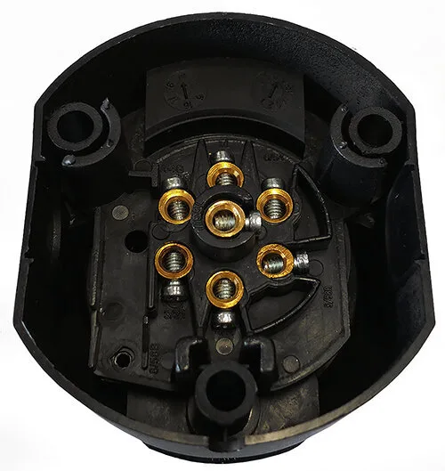 MUOVI PISTORASIA 7-NAP. - Image 2